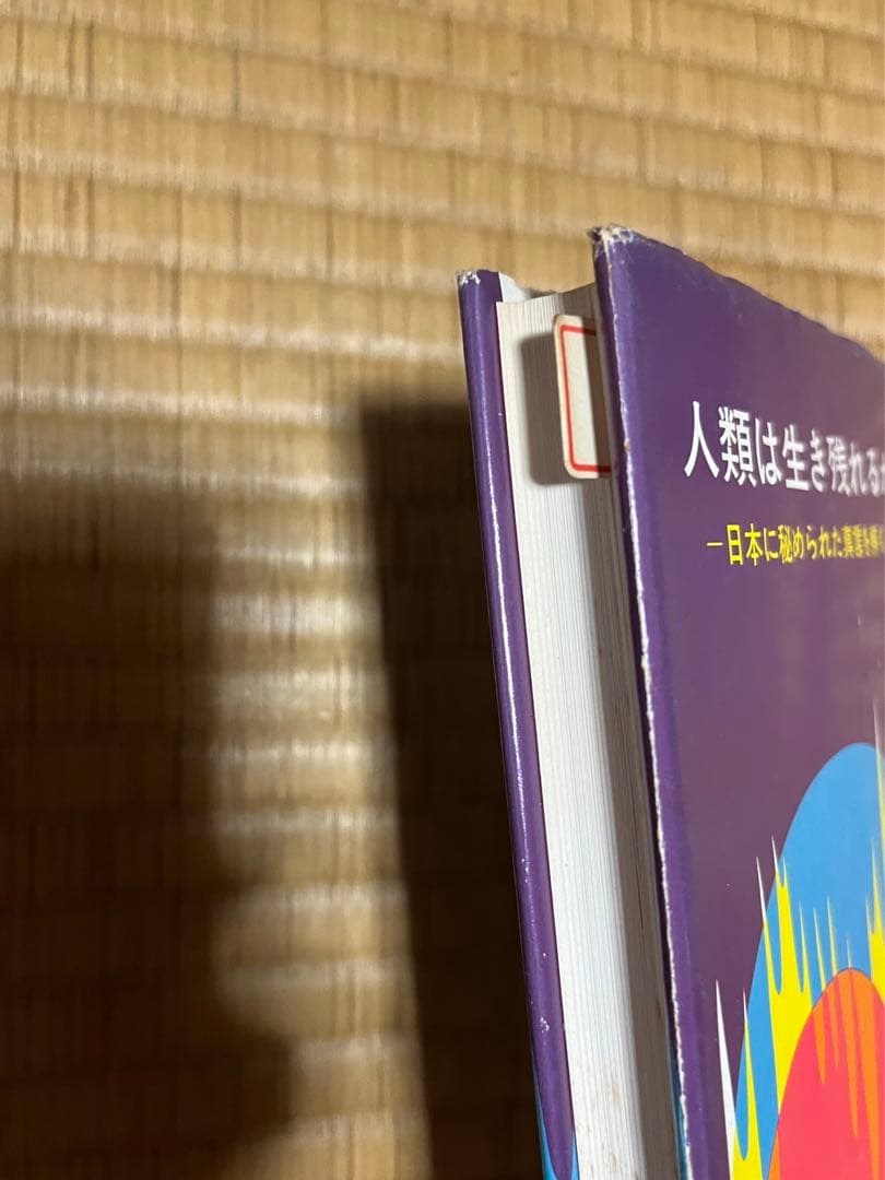 人類は生き残れるか　日本に秘められた真言を解く　　　　浜本末造 橘香道　般若心経