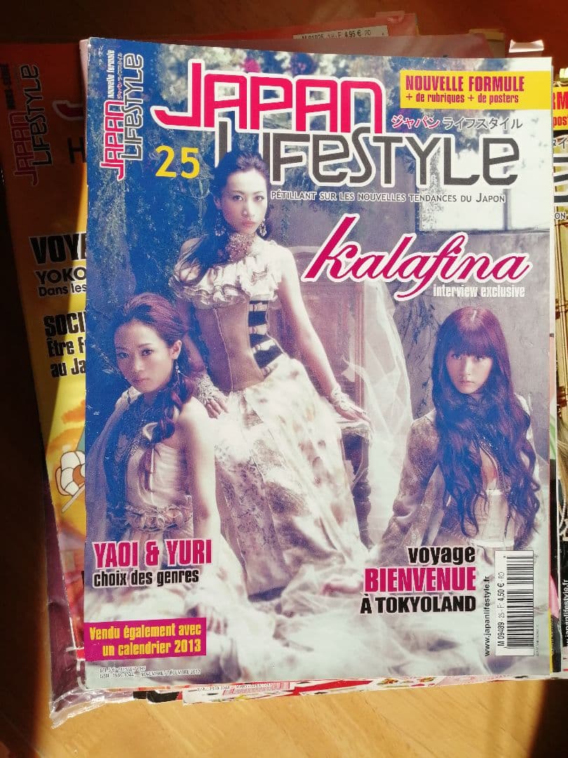 JAPAN LIFESTYLE ジャパンライフスタイル　26冊セット