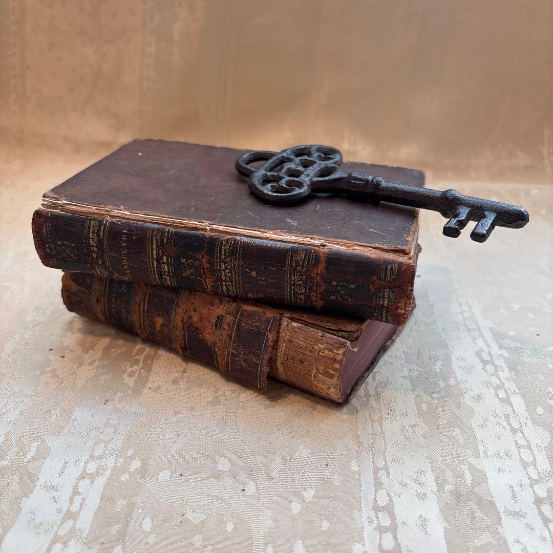 アンティーク　ビンテージ　フランス語　洋書　古書　洋古書