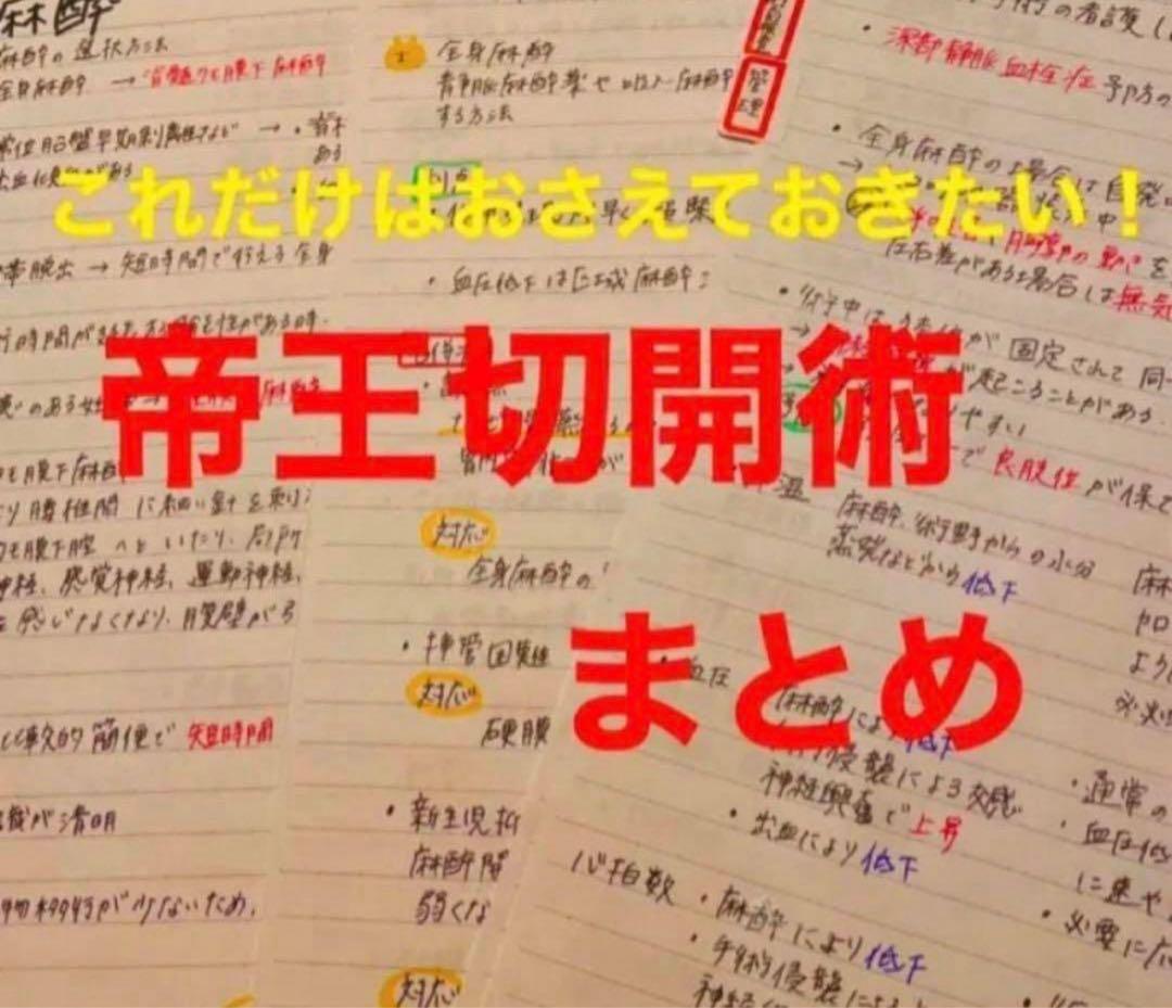 助産師　助産学生　国家試験　合格　実習味方セット　まとめノート　ポケットサイズ