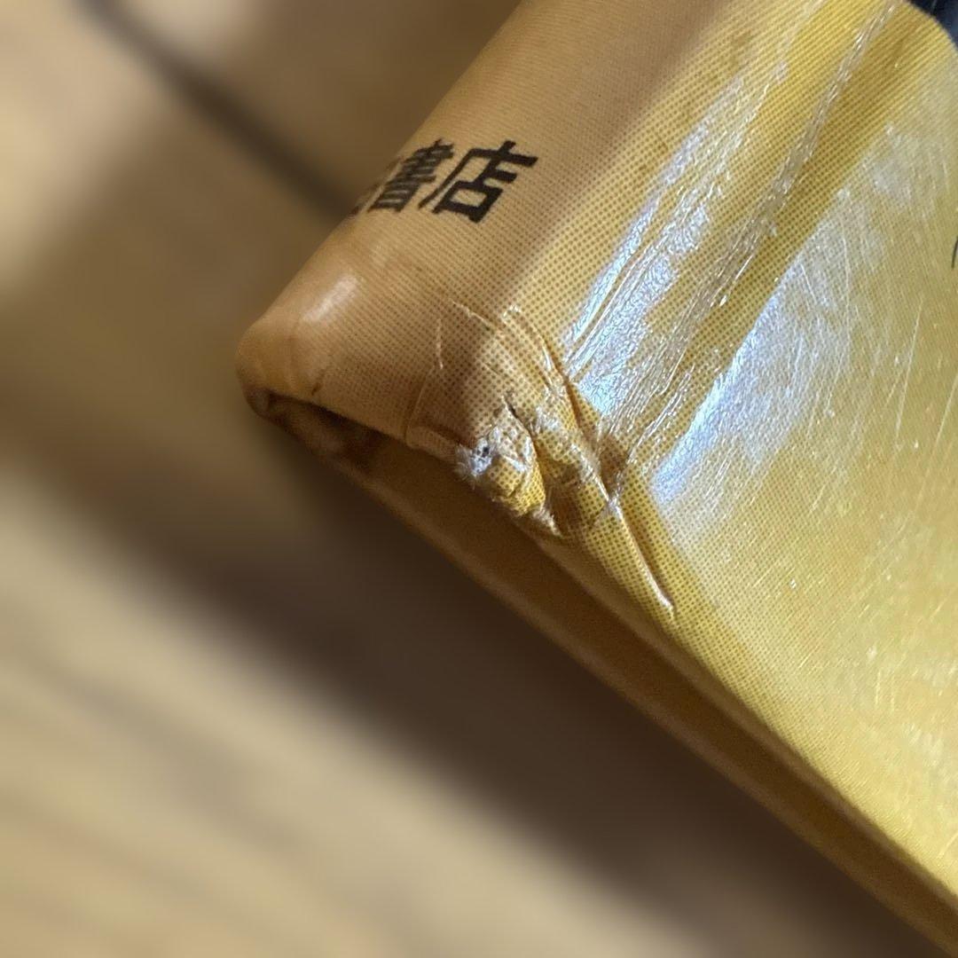 初版 吸血鬼のふるさと 秘境シリーズ3 アメリカ・ヨーロッパ 中岡俊哉 秋田書店