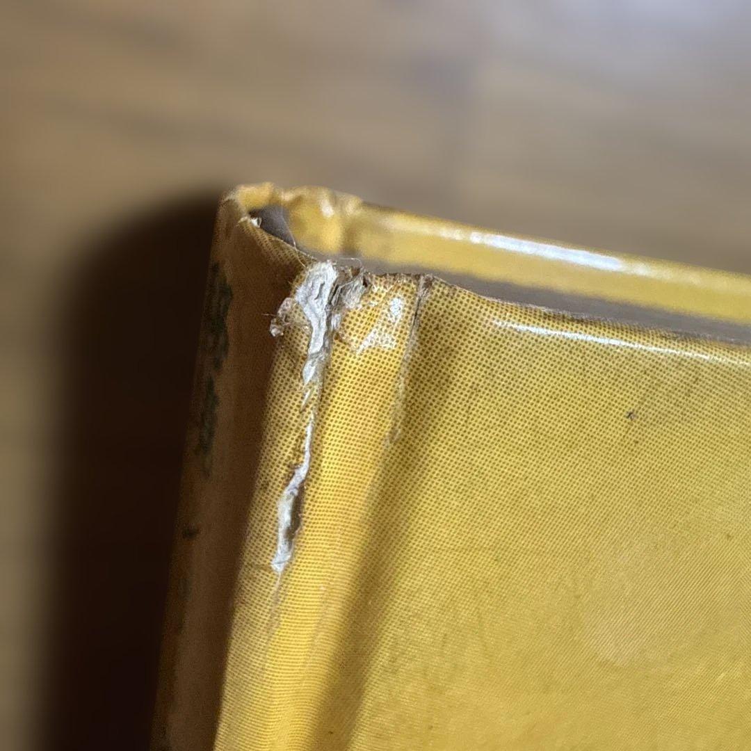 初版 吸血鬼のふるさと 秘境シリーズ3 アメリカ・ヨーロッパ 中岡俊哉 秋田書店