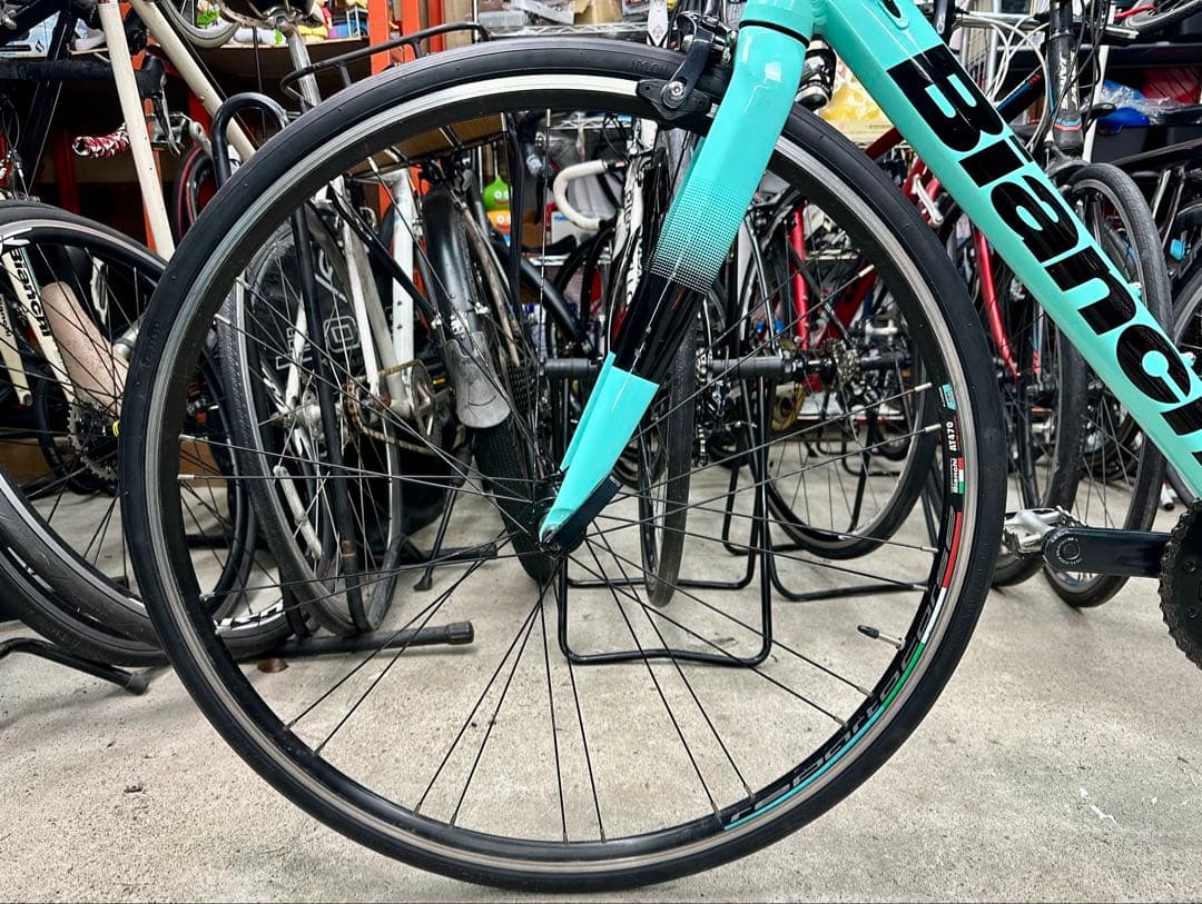 自転車本体 Iruka1118