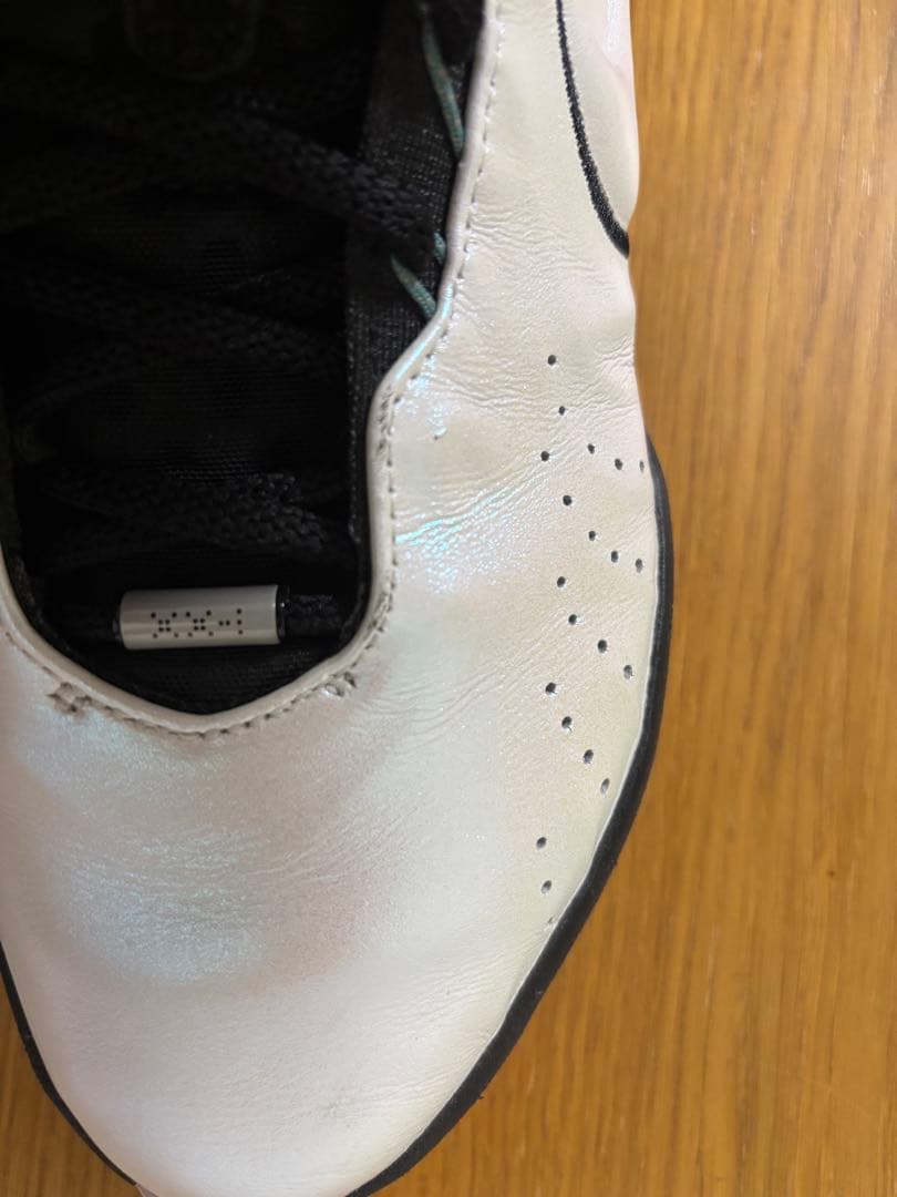 NIKE LEBRON XXXI EP レブロン 21 25.5cm