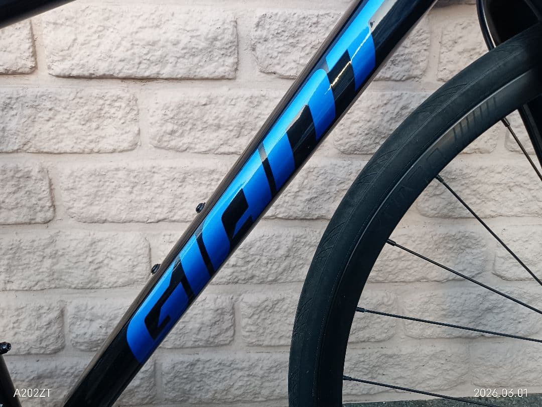 ジャイアント コンテンド ar4 ar1(105)カスタム