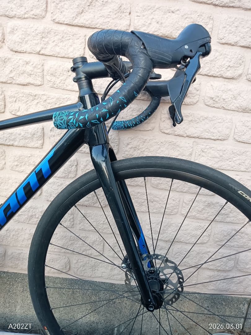 ジャイアント コンテンド ar4 ar1(105)カスタム