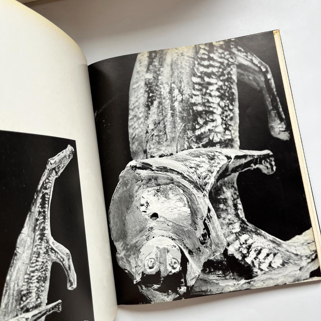 マリノ・マリーニ Marino Marini Lederer Trier