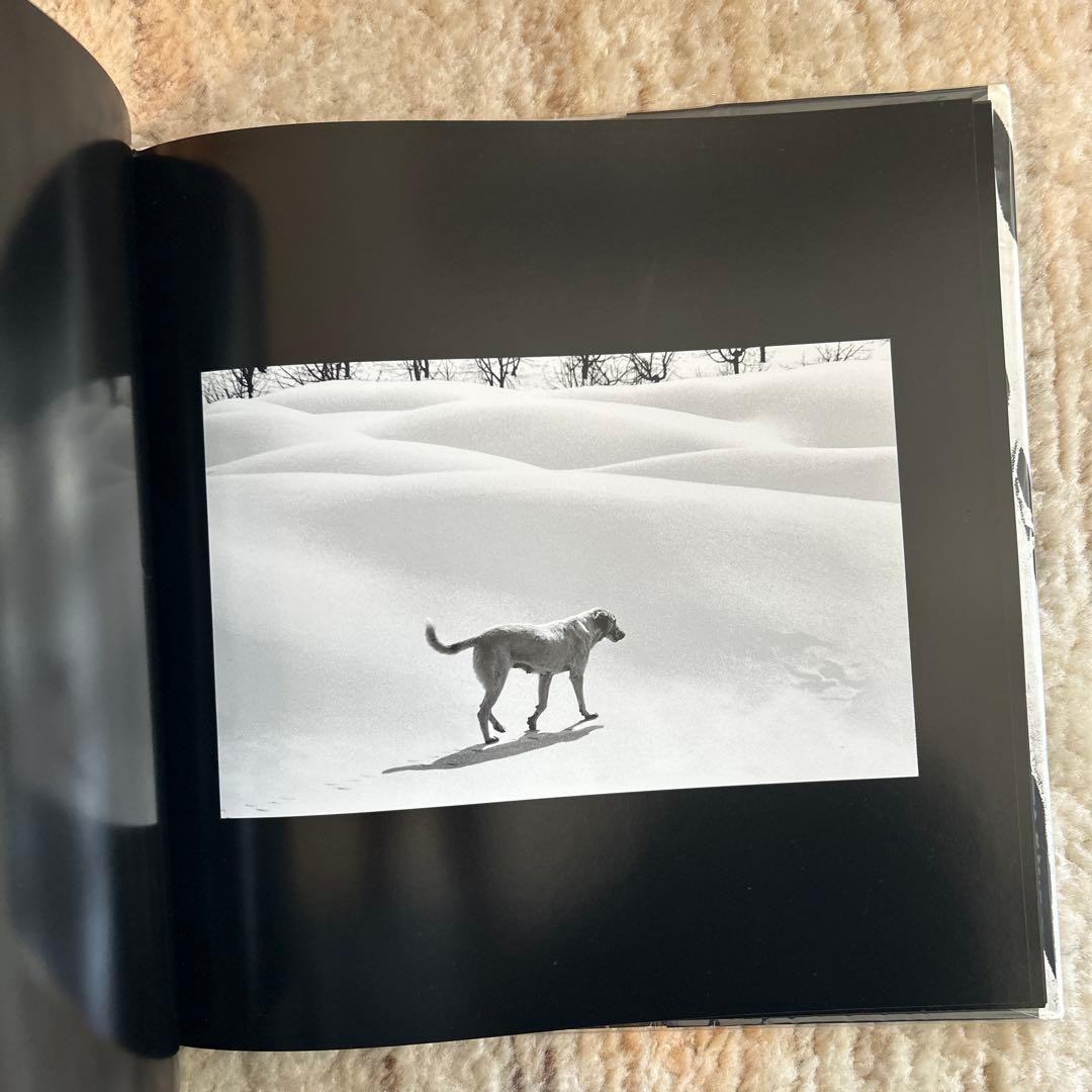 レア：Abbas Kiarostami  White　キアロスタミ