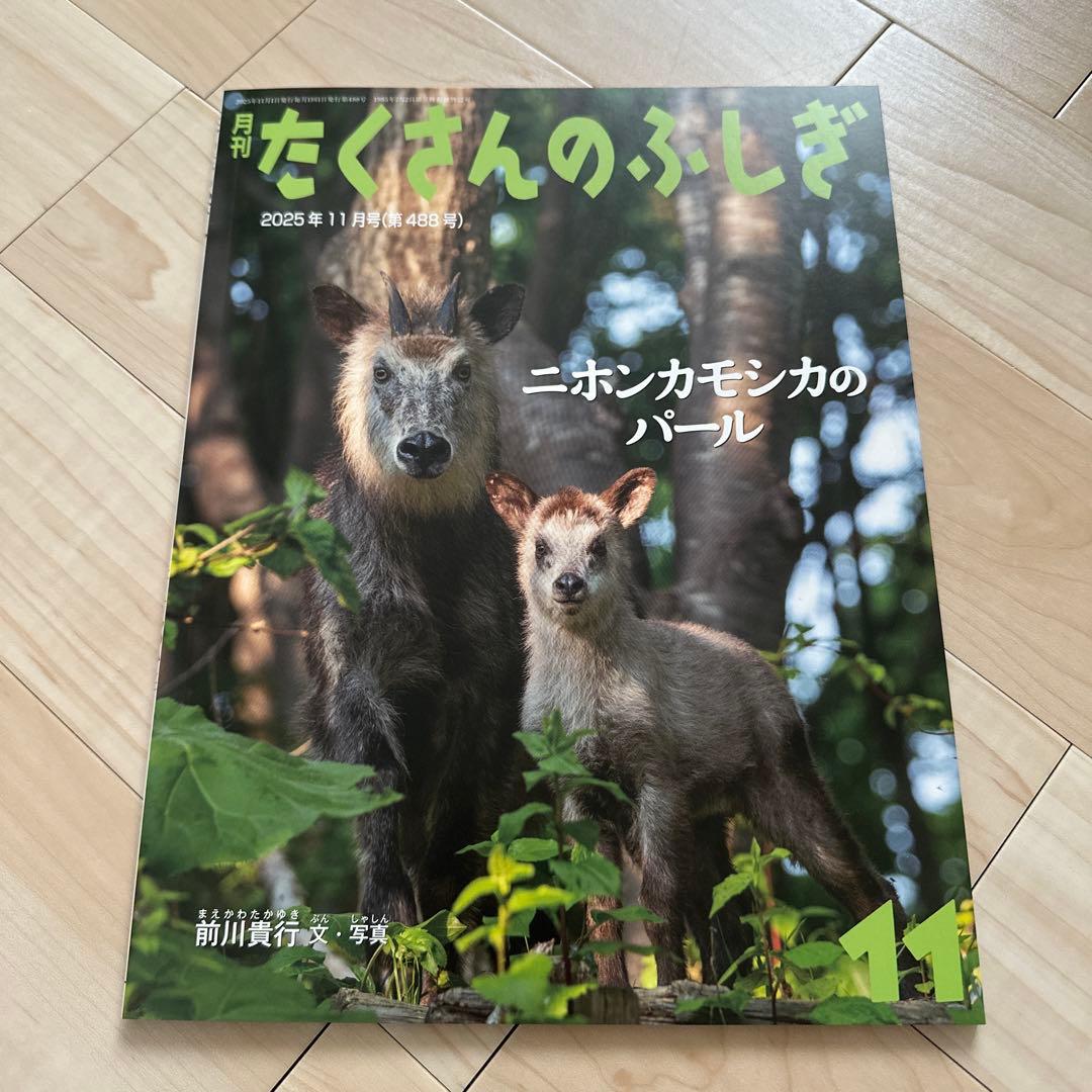 福音館書店　たくさんのふしぎ2025年4月〜2026年3月号