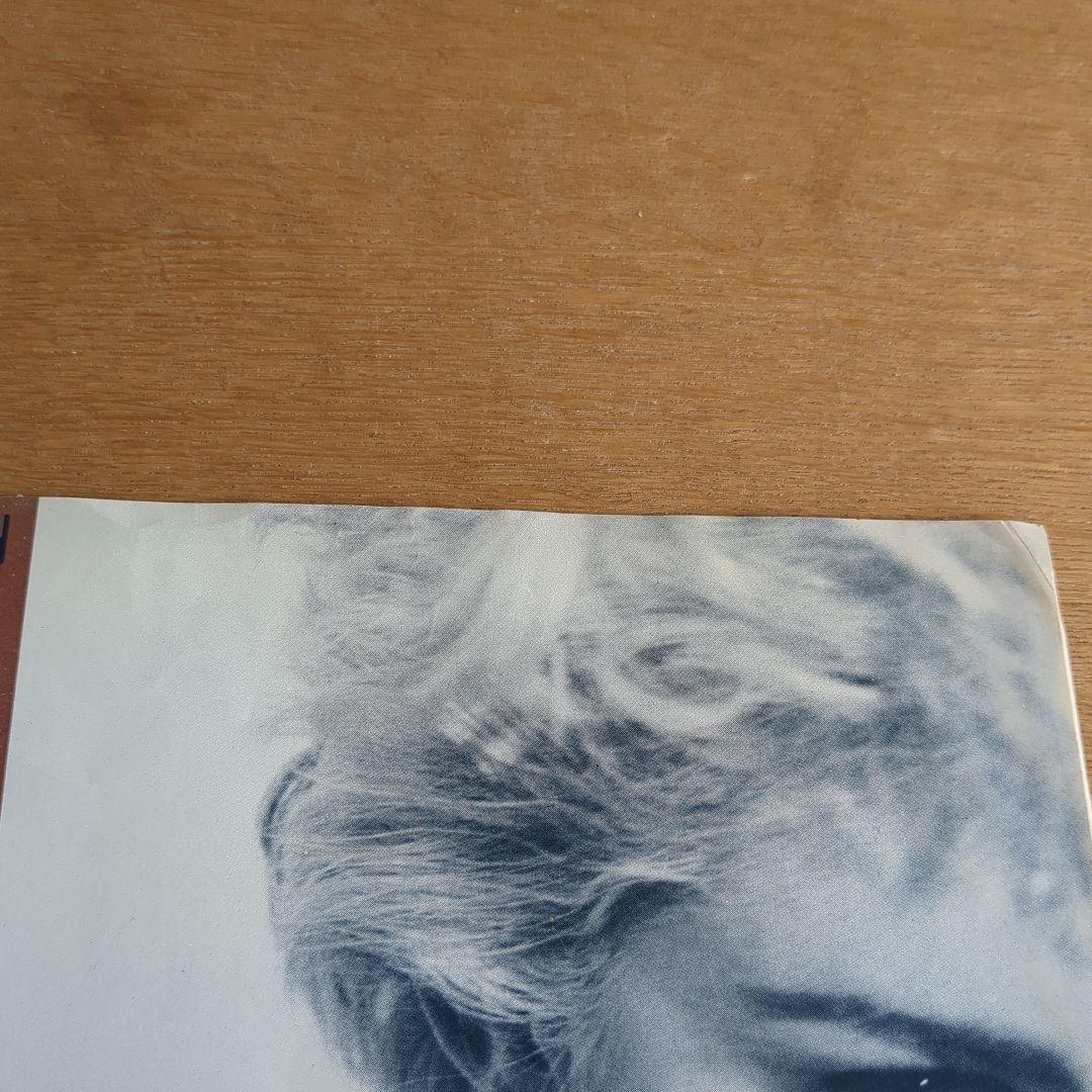 マドンナ　Madonna　True Blue　7\"　ブルーカラーレコード　輸入盤