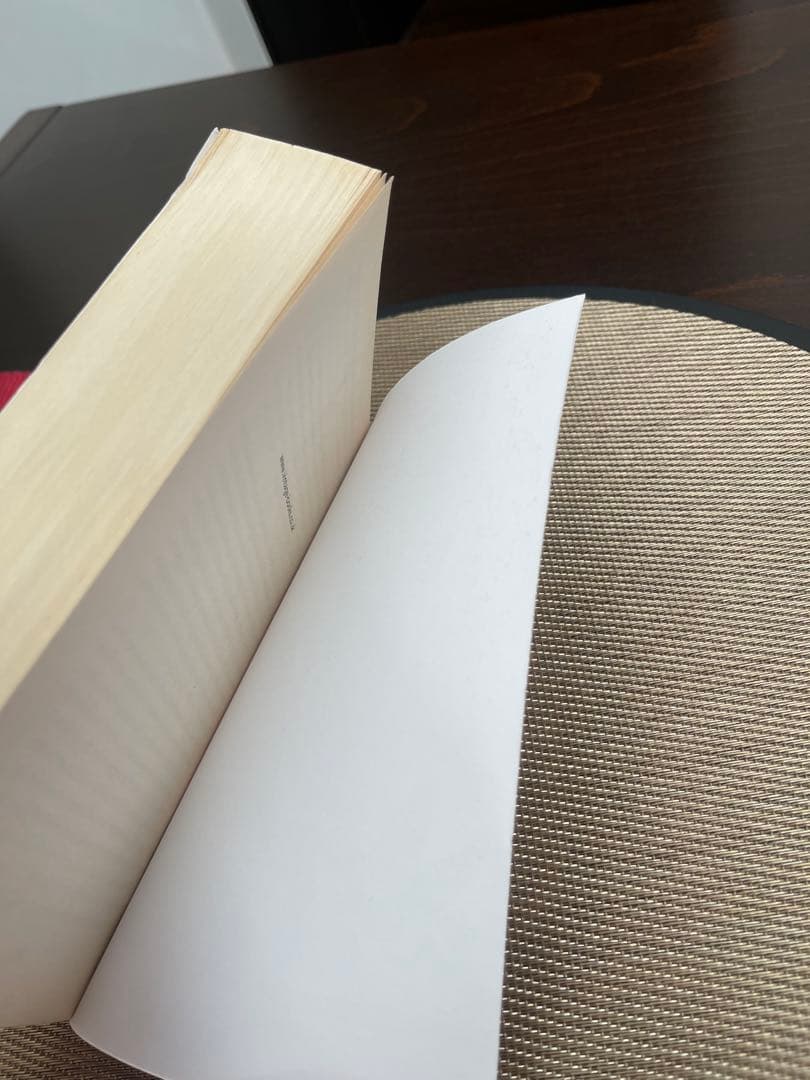 希少　The Echo Maker Richard Powers