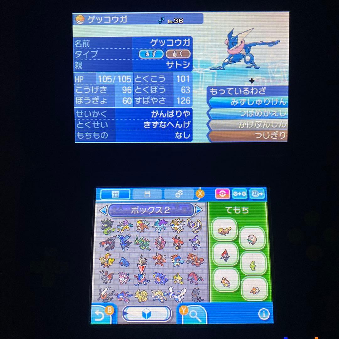 h*e様 配布ポケモン多数所持　ポケットモンスター サン