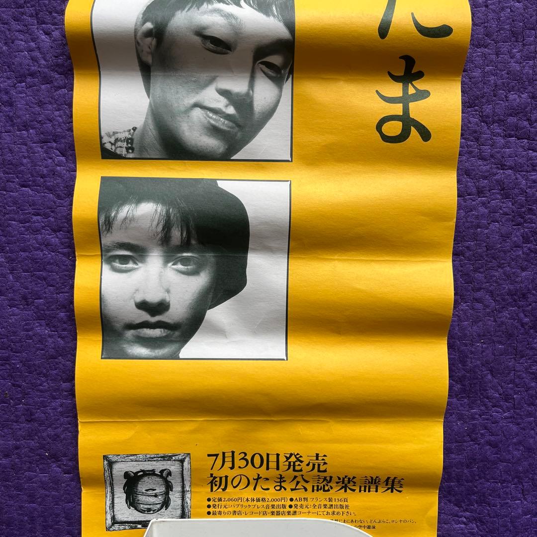 たま ポスター 3点セット イカ天 知久寿焼 石川浩司 滝本晃司 柳原幼一郎