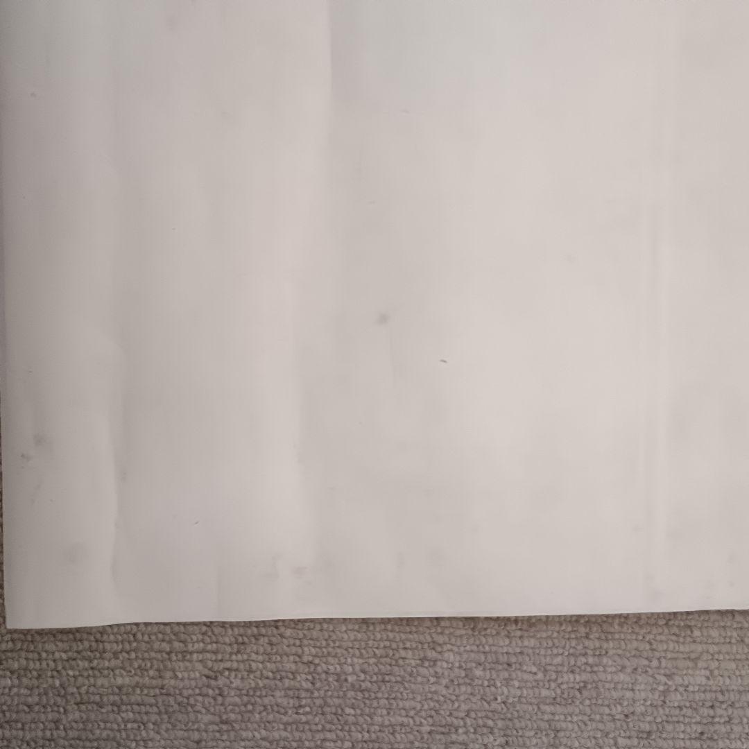 佐藤勝彦 【花 】絵画 日本画 墨彩画 印有 額サイズ約51×63cm 真作