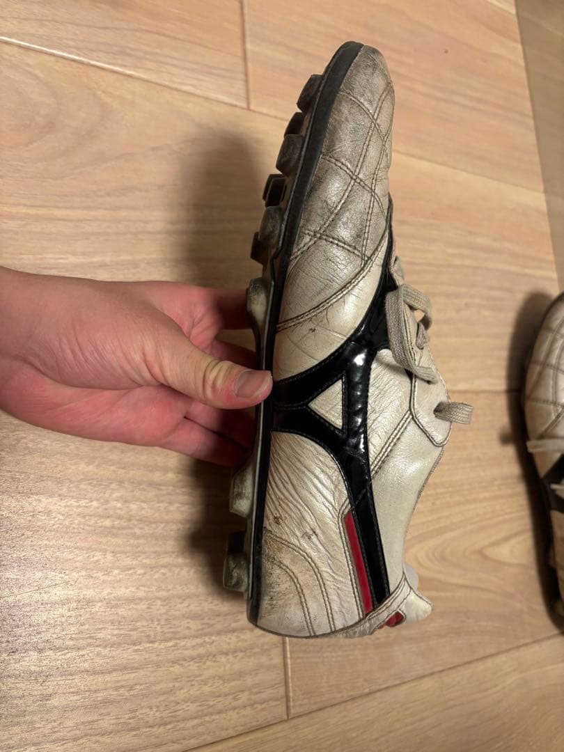 モレリア2JAPAN クロスステッチ26cm