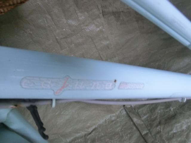 258：BRIDGESTONE　Cajuna　ジャンク　引取限定：埼玉県所沢市