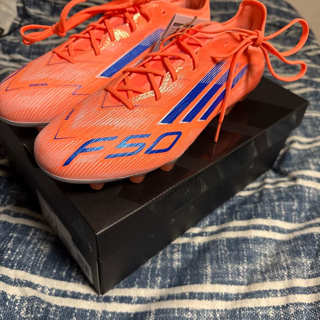 F50エリート