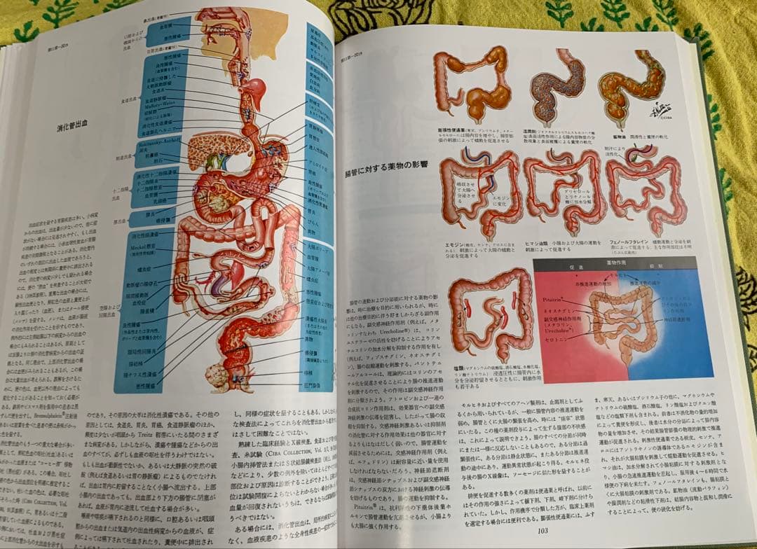 ⭐︎医学生理図譜集 消化器編 (I) & (II)⭐︎