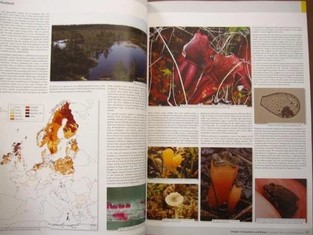 洋書 European Atlas of Soil Biodiversity