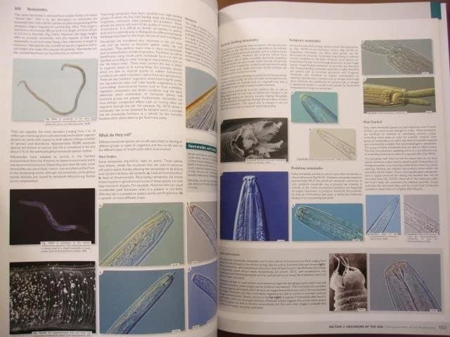 洋書 European Atlas of Soil Biodiversity