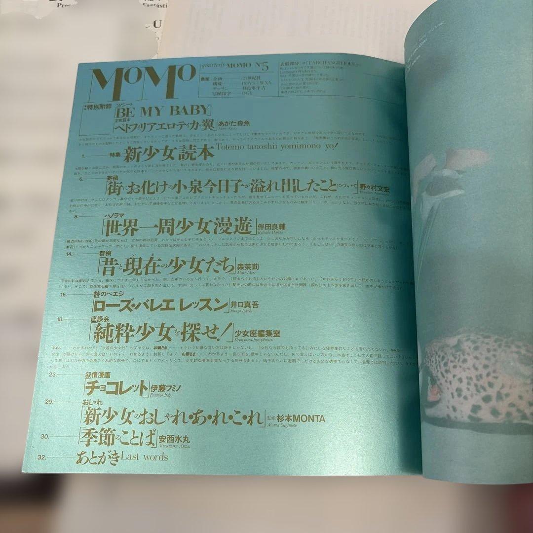 あがた森魚　永遠の遠国　限定LP ボックス　おまけ未開封　【希少版】