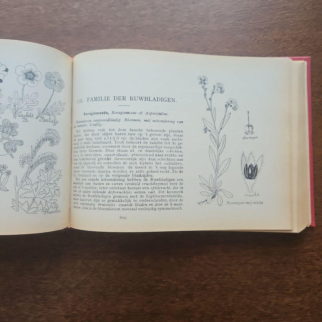 洋書　アンティーク　花図鑑 オランダ植物図鑑