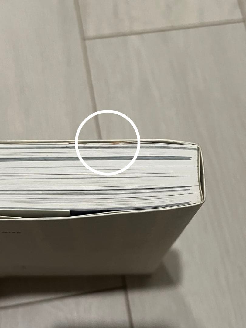 10 Mame Kuragouchi アートブック