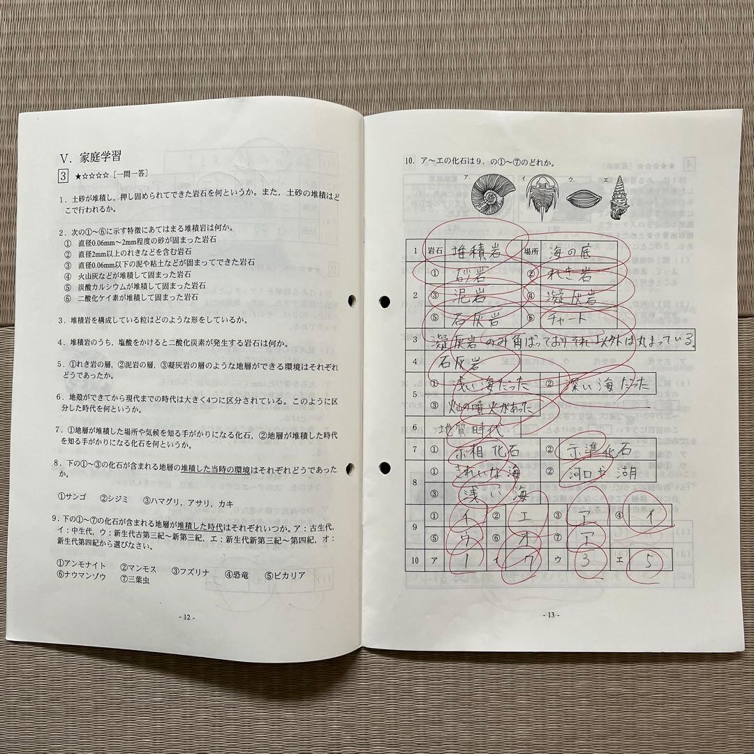 MAIN SAPIX他 中1 理科