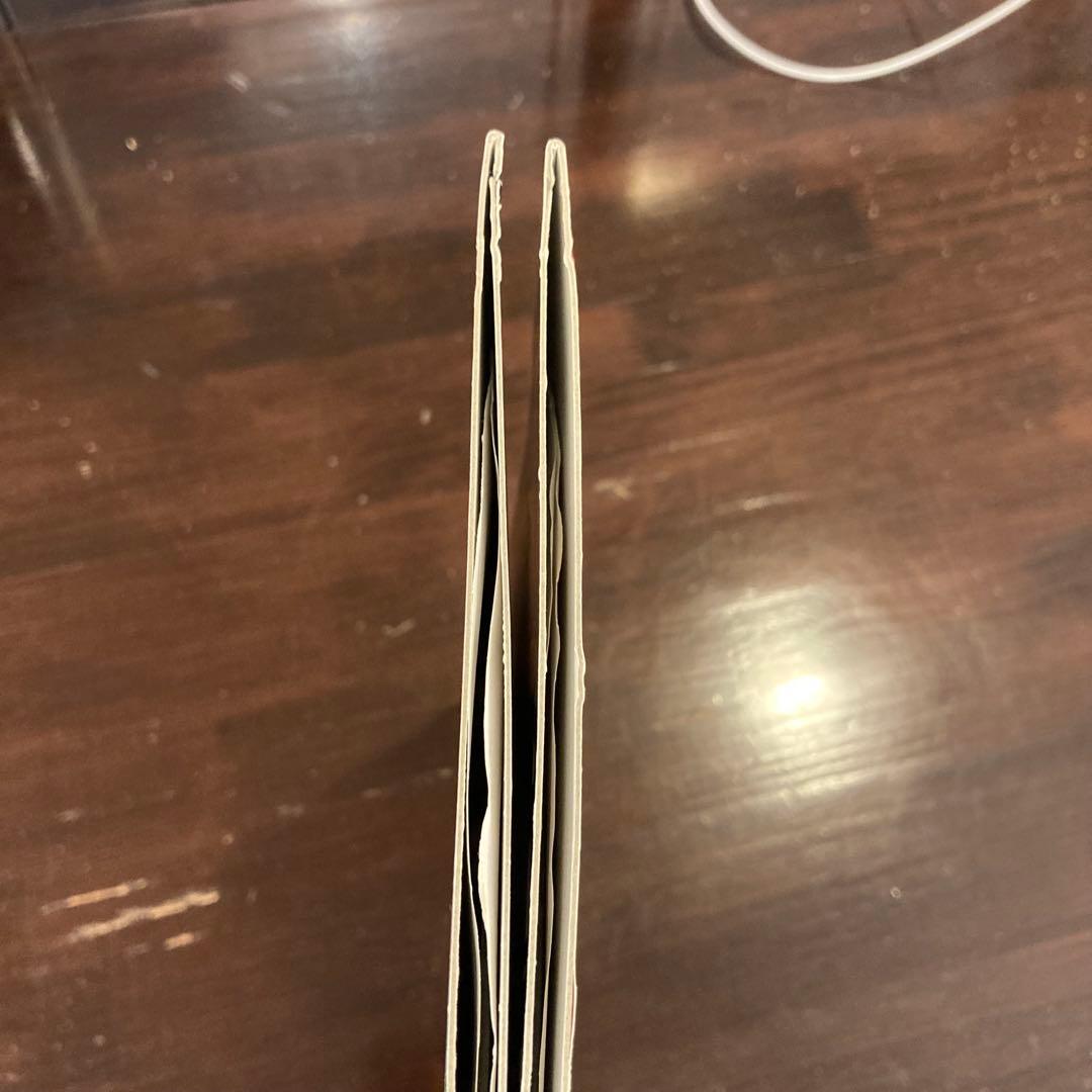 最終値下　EGO-WRAPPIN' 満ち汐のロマンス LPエゴラッピン