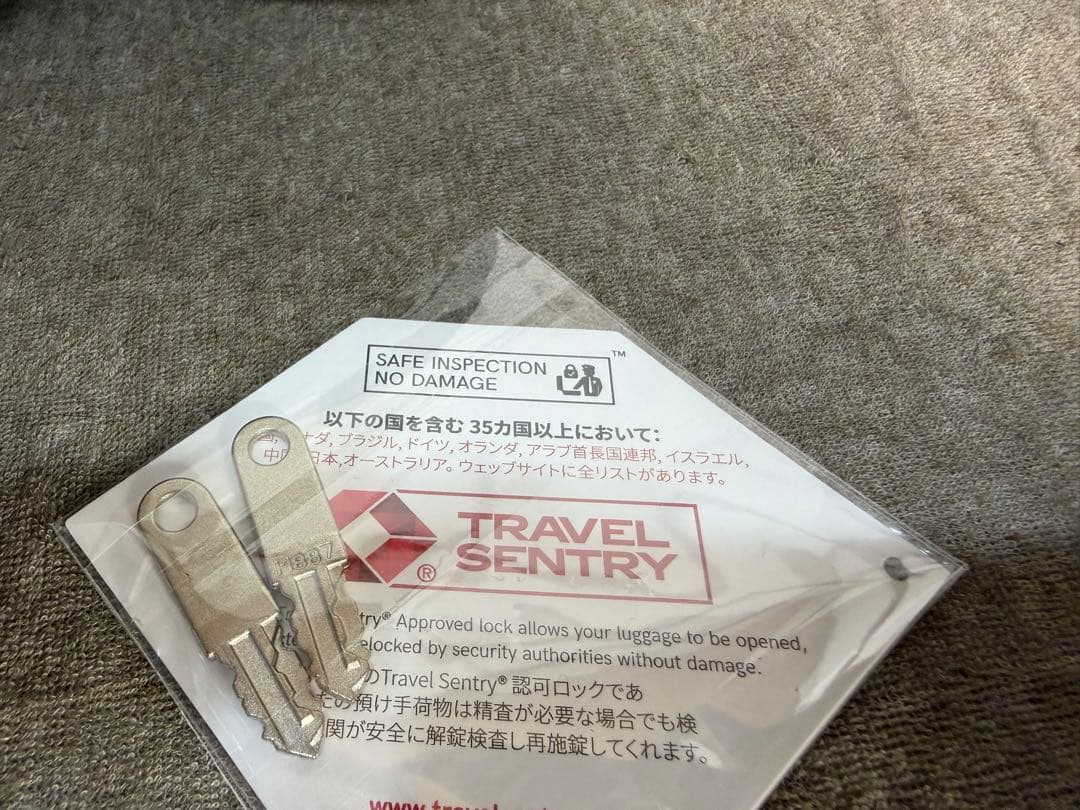 【極美品】final D8000 シルバー　プロテクトケース付き