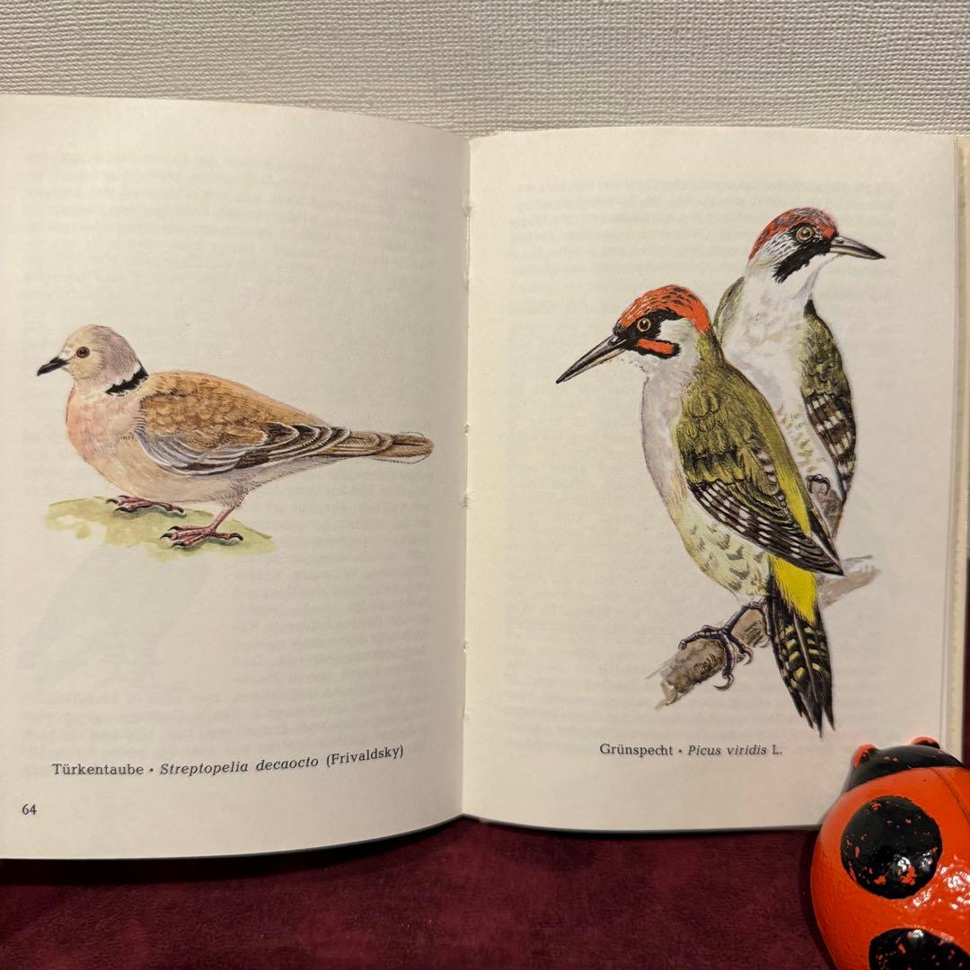 325B②ドイツ語鳥図鑑3冊セット　洋書古書　ジャンクジャーナル　ボタンニカル
