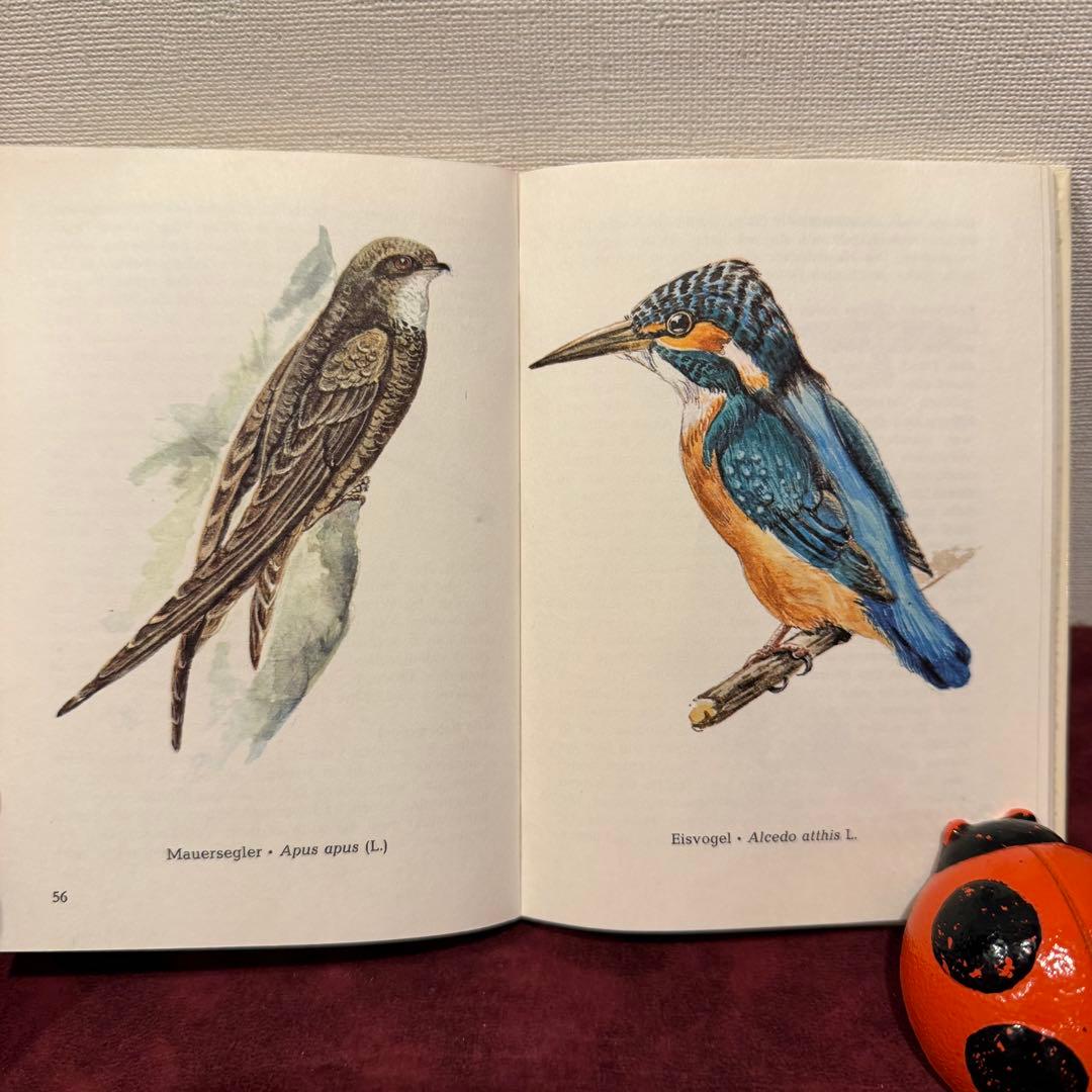 325B②ドイツ語鳥図鑑3冊セット　洋書古書　ジャンクジャーナル　ボタンニカル