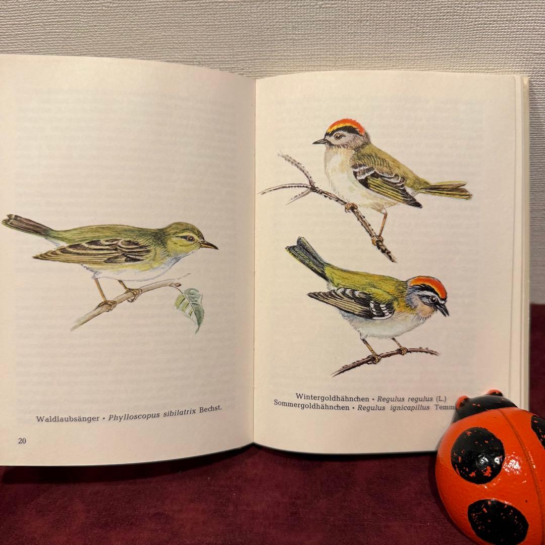 325B②ドイツ語鳥図鑑3冊セット　洋書古書　ジャンクジャーナル　ボタンニカル