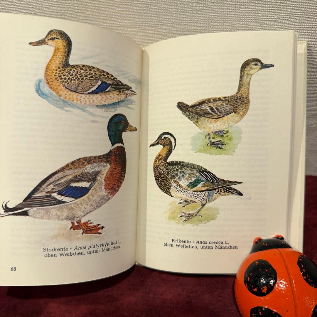 325B②ドイツ語鳥図鑑3冊セット　洋書古書　ジャンクジャーナル　ボタンニカル