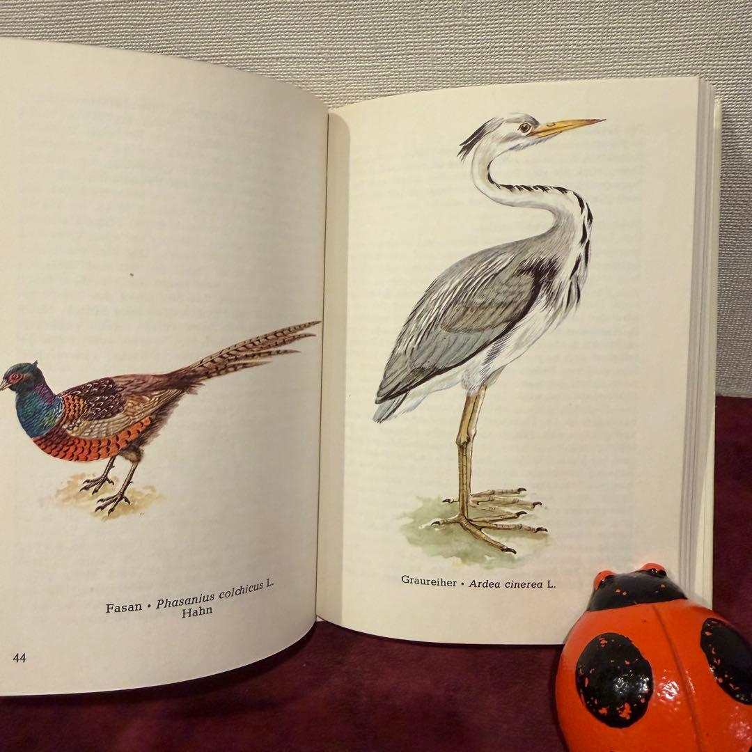325B②ドイツ語鳥図鑑3冊セット　洋書古書　ジャンクジャーナル　ボタンニカル