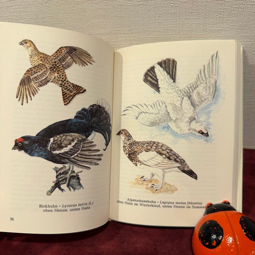 325B②ドイツ語鳥図鑑3冊セット　洋書古書　ジャンクジャーナル　ボタンニカル