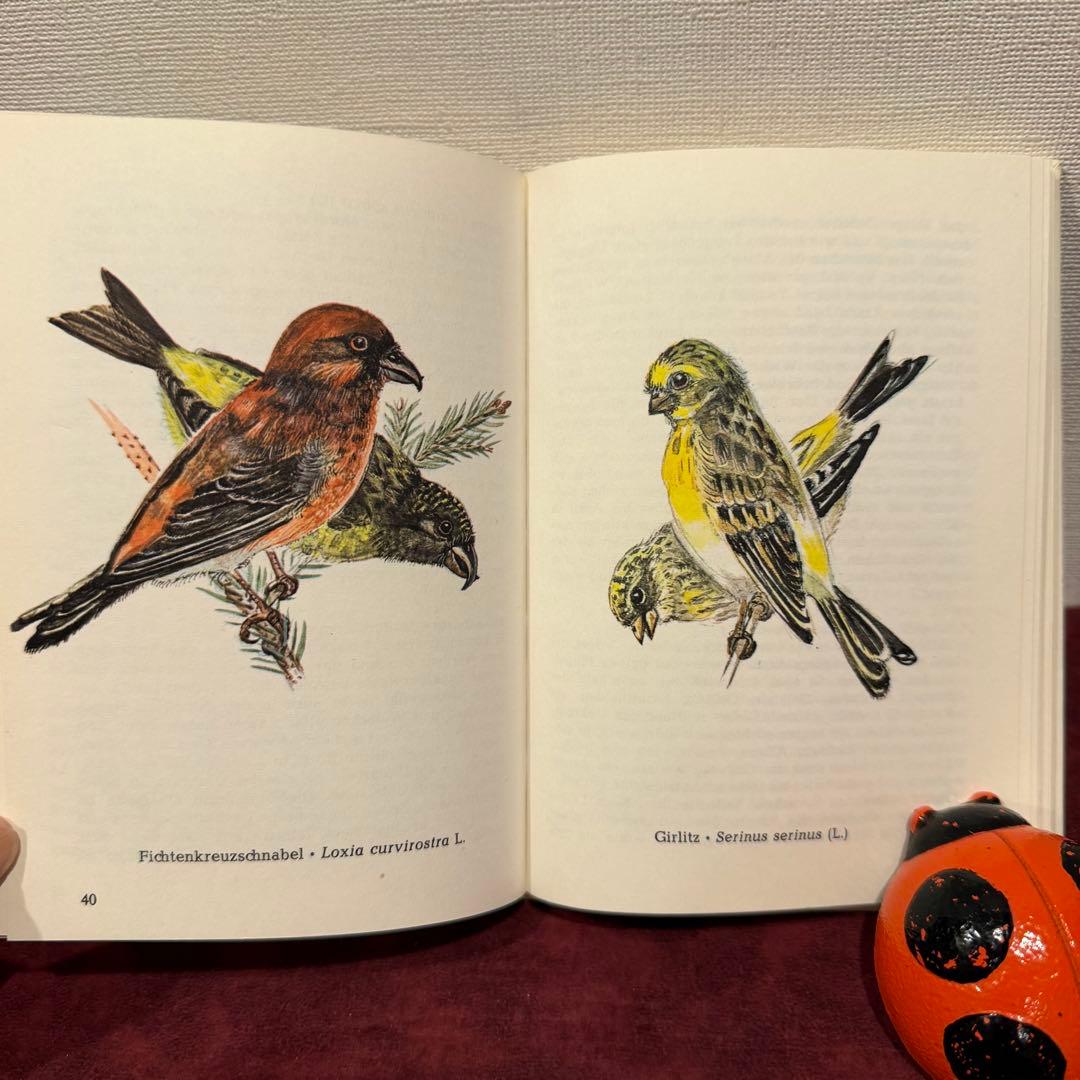325B②ドイツ語鳥図鑑3冊セット　洋書古書　ジャンクジャーナル　ボタンニカル