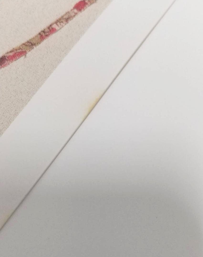 宮脇綾子のアプリケⅠ　Ⅱ　作品集　カード　豊田市美術館　アップリケ　図録