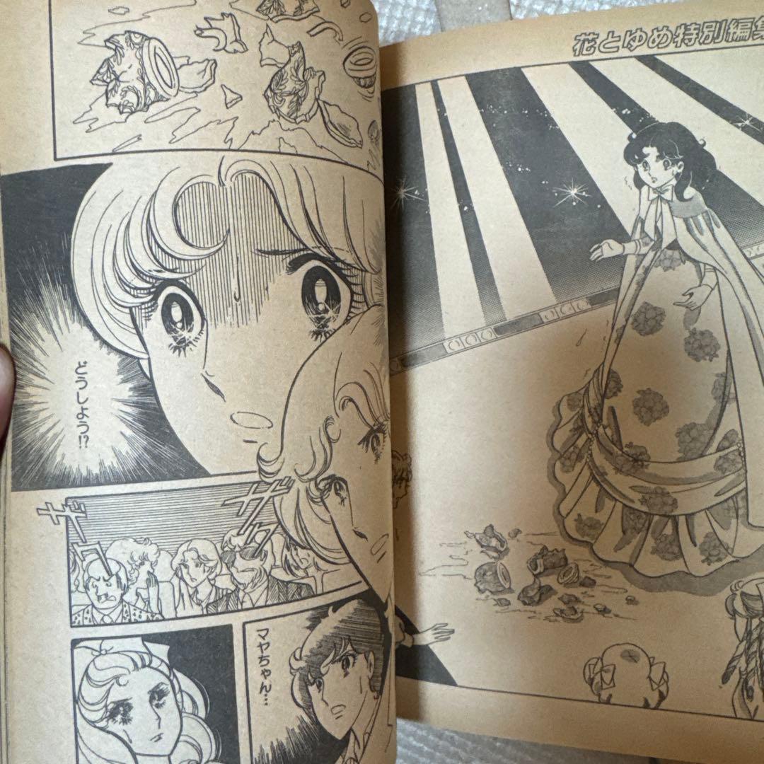 ＊【付録完備・当時物】ガラスの仮面 ダイジェスト版 花とゆめ特別編集 アニメ