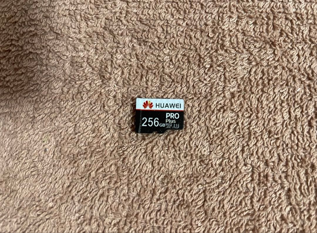 Nintendo Switch Lite ザシアン・ザマゼンタ 本体