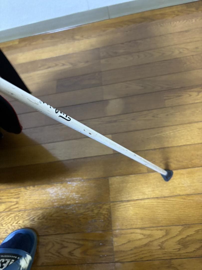 タイトリスト キャディーバッグ