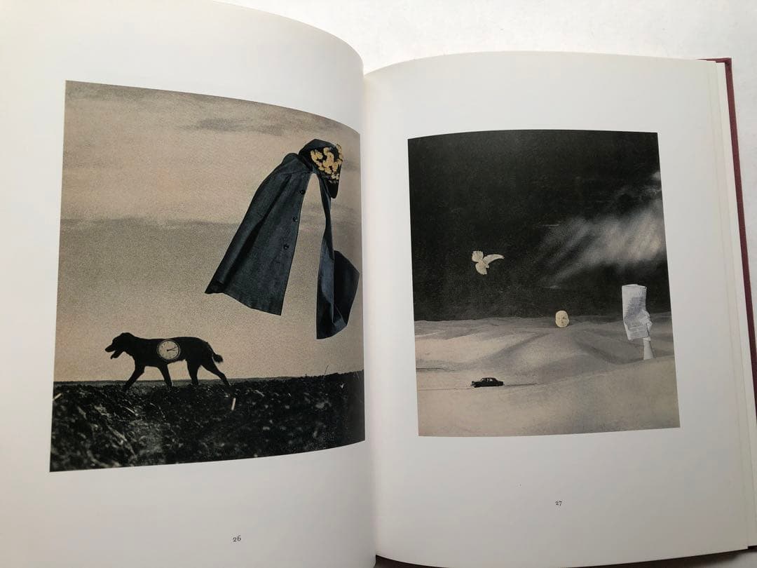 ね*り様 OROP OF DREAMS 洋書　写真集