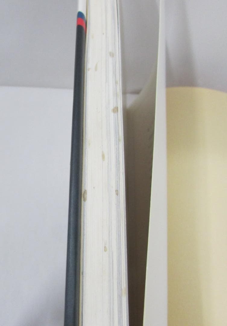 彫長 　刺青集　匠　TATTOO OF HORICHO　大長企画　経年シミ多数