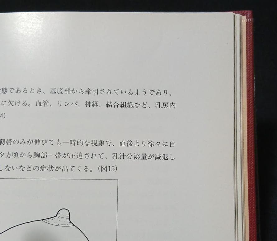 値下げ　絶版【昭和59年初版】桶谷式乳房管理法理論編　総論・各論　桶谷そとみ