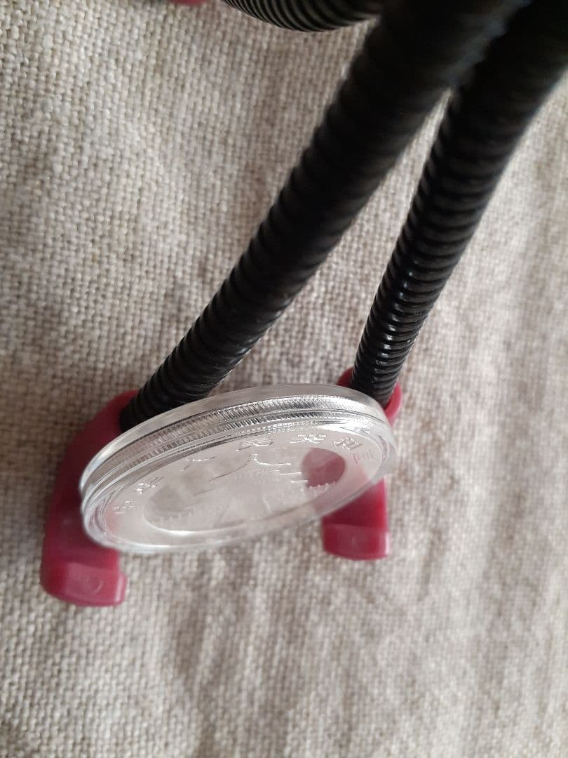 【新品】2024年 銀製パンダ 10元　ケース入り