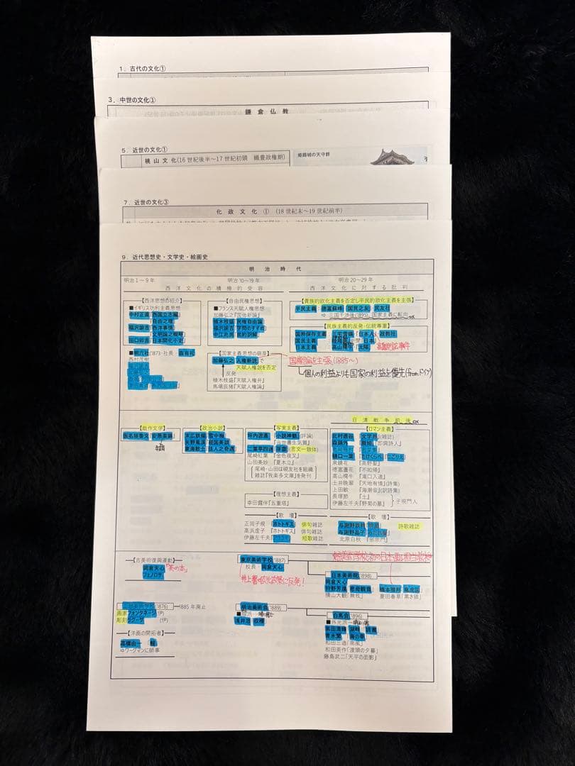 河合塾 日本史 坂本勝良プリント (文化史/内閣まとめ/テーマ史)