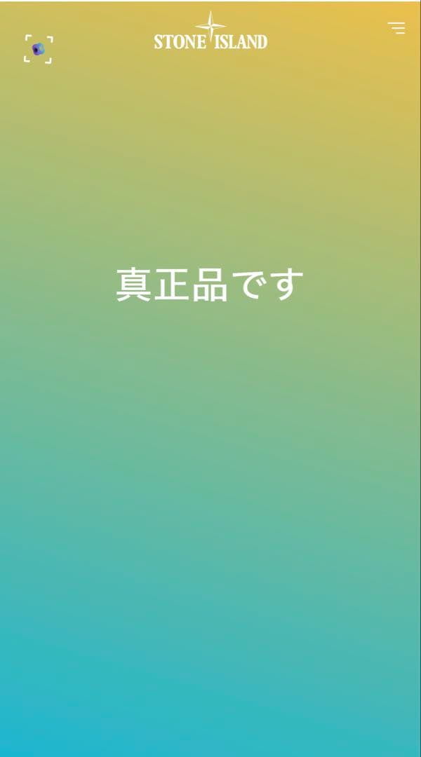 【美品】値下げ可 STONE  カーゴパンツ　Tg.30