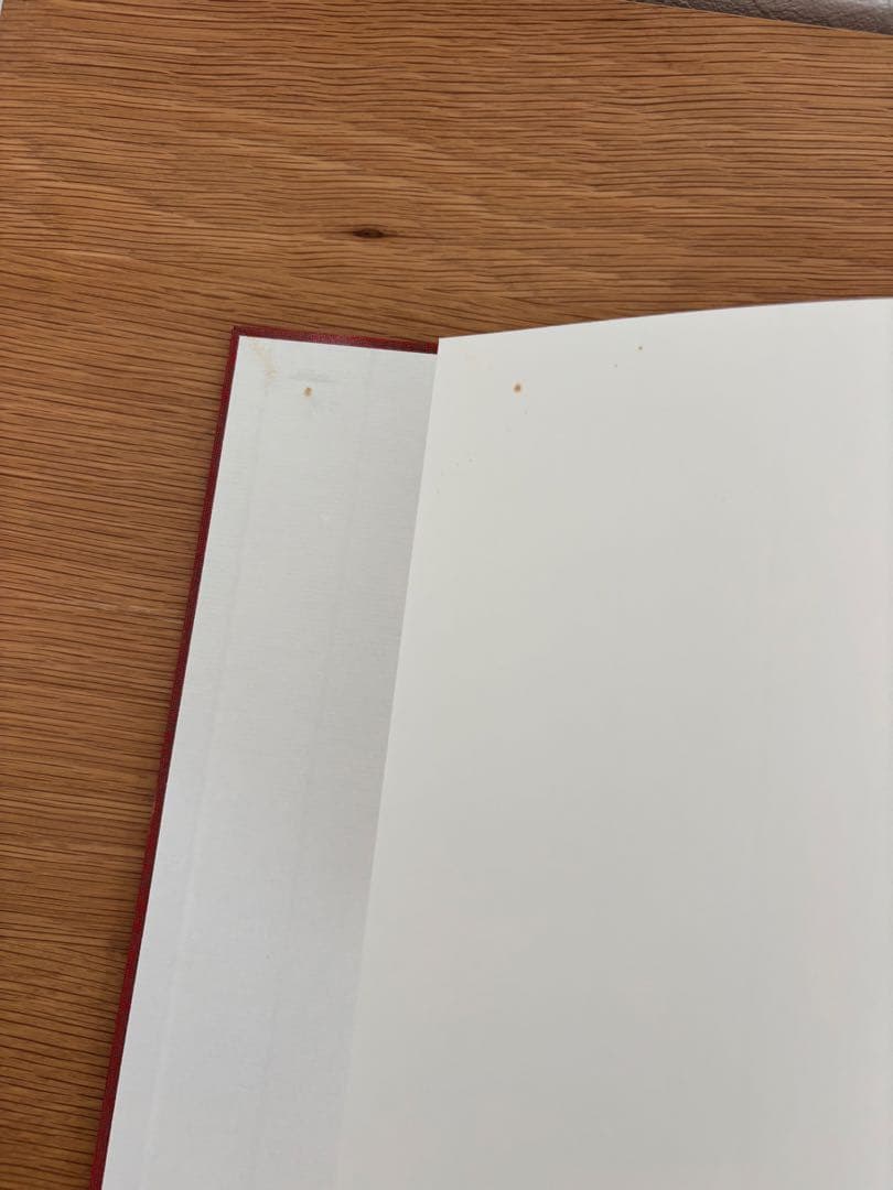 ソールライター / Saul Leiter Retrospective 写真集