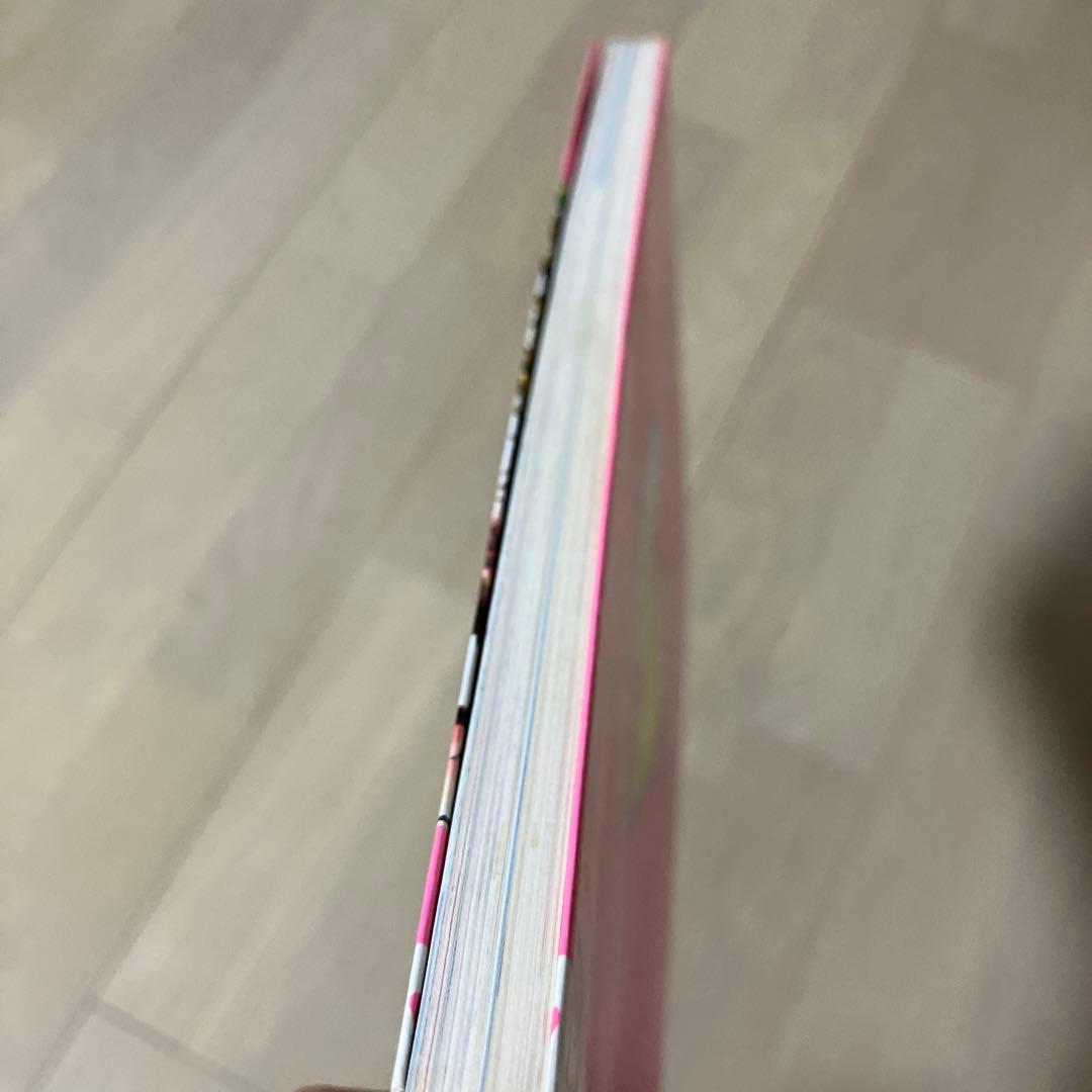 ゆめのポプリノート ピチレディシリーズ　PICHI LADY 森田洋子　美品