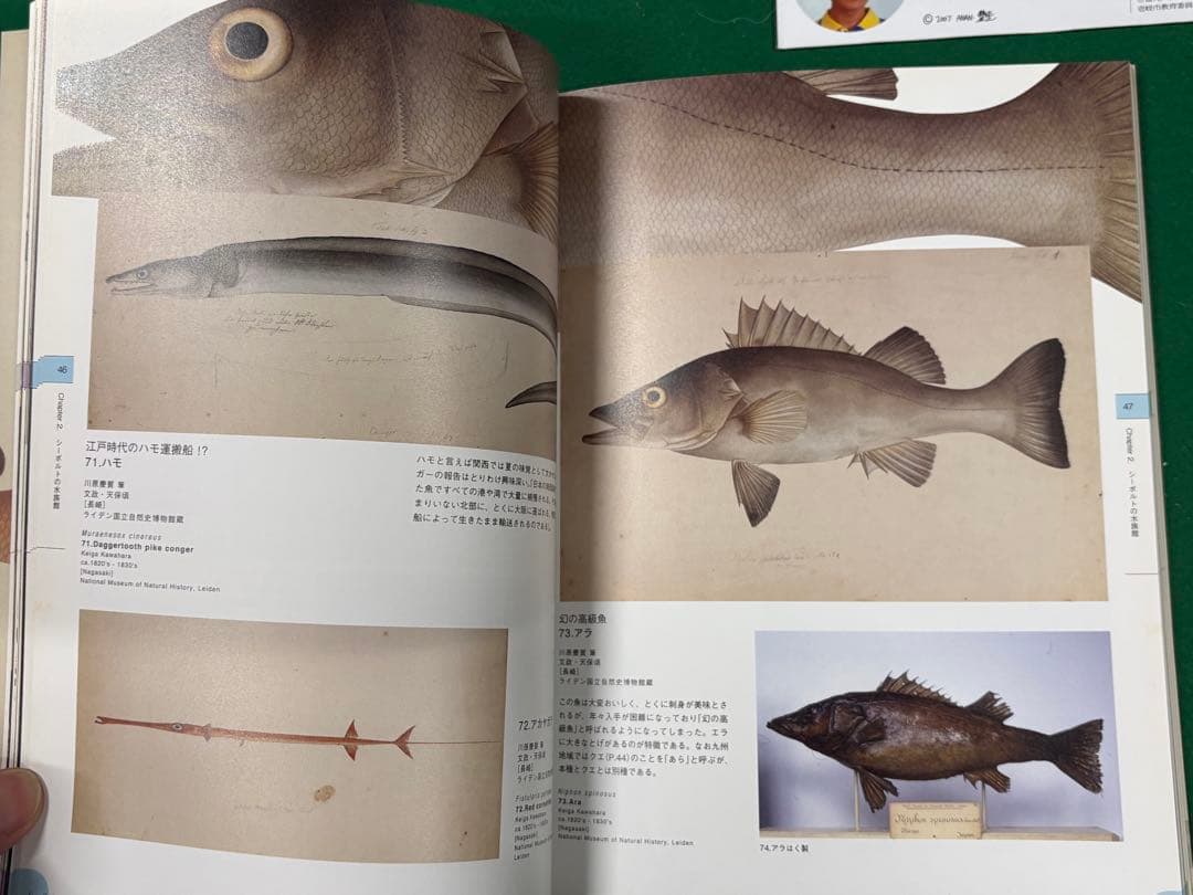 図録【シーボルトの水族館】正誤表、チケット半券、フライヤー付　川原慶賀 長崎